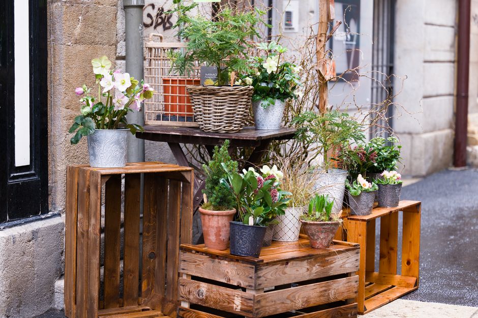 An outdoor display of various potted flowering plants arranged on wooden crates and a small table, positioned against a stone wall near a shop entrance. The arrangement includes white and pink primula