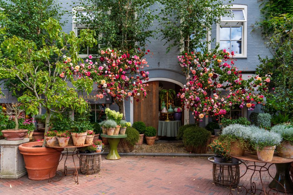 A charming flower shop exterior decorated with vibrant pink and white roses and hydrangeas arranged in hanging baskets and large terracotta pots. The storefront features a dark awning with gold letter